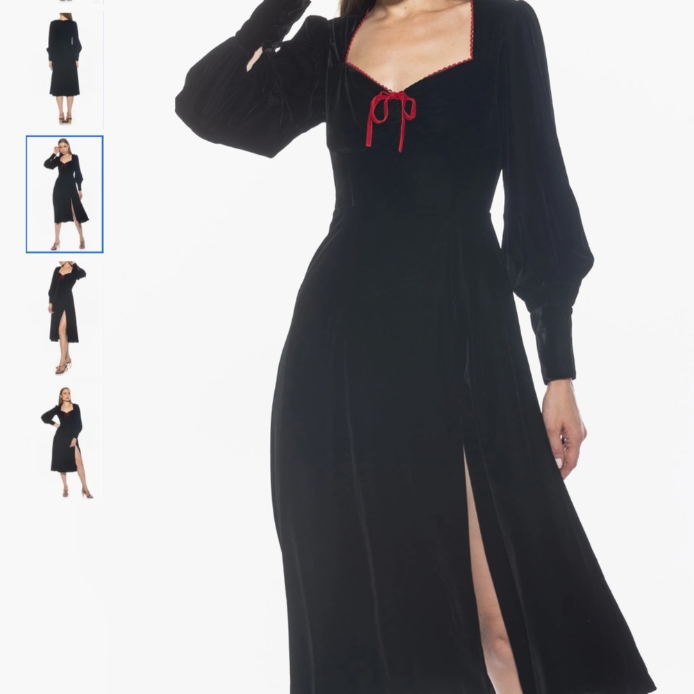 Alexia Admor Willa Bishop Sleeve Velour Dress, size 10 - Picture 3 of 11